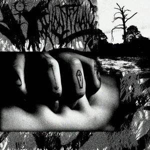 NAILS (Single)