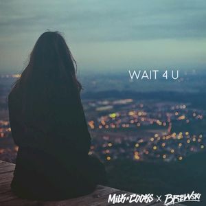 Wait 4 U (Single)