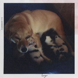 Lungs (Single)