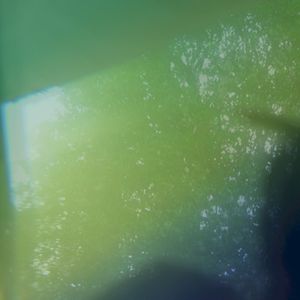 Hazy Colors (Single)