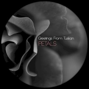 Petals (Single)