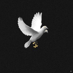 Wings (Single)