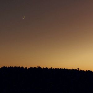 horizon (Single)