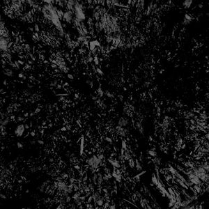 Waltz (Single)