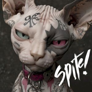SPITE (Single)