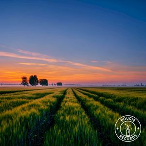 Warm Breeze Notes (Single)