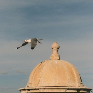Seagulls (Single)