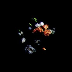 Hollow (EP)