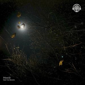 Moonlit Fields (Single)
