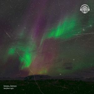 sleepless night (Single)