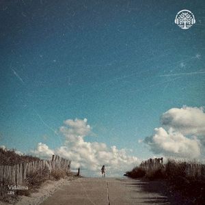 Lilly (Single)