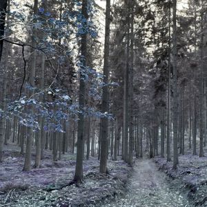 Fragments EP (EP)
