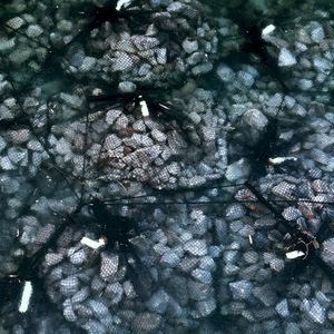 SedimentⅠ