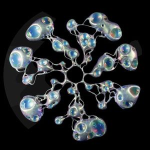 Neptune Discs, Vol. 11