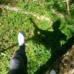 Get Back (Single)