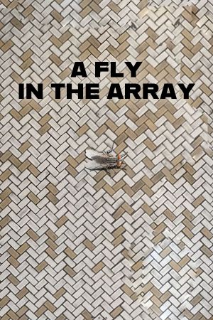 A Fly in the Array