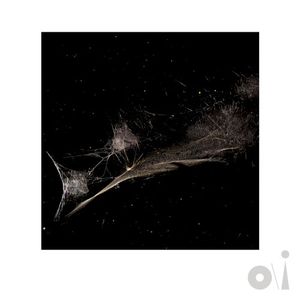 Put the Bucket Down (Work in Progress version) (Single)