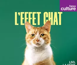 image-https://media.senscritique.com/media/000023534185/0/l_effet_chat.webp