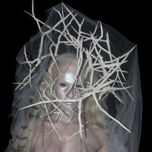 SUNLIGHT (Single)