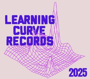 Learning Curve Records 2025