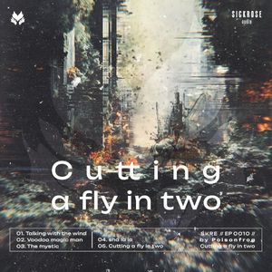 Cutting A Fly In Two (EP)