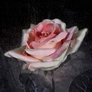 Heaven (Single)
