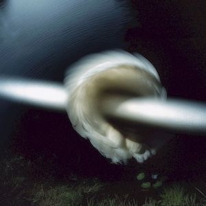 Aperture (Single)