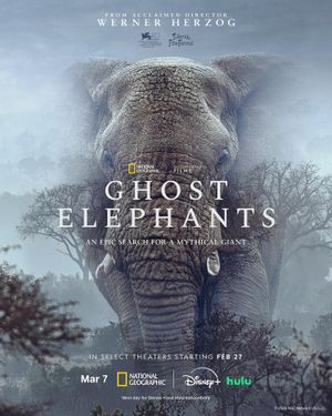 Ghosts Elephants