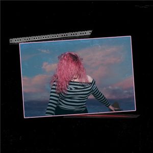 Stupid Bitches (Single)