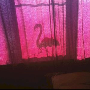 багчейзинг