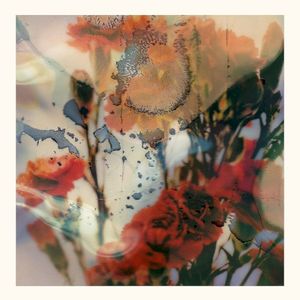 bed addiction (Single)