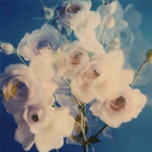 journal (Single)