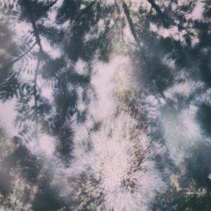 And the Rain Will Fall (Single)