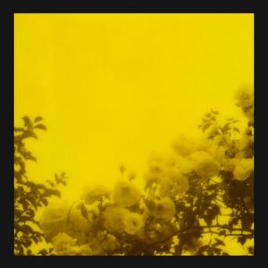 umbrella (Single)