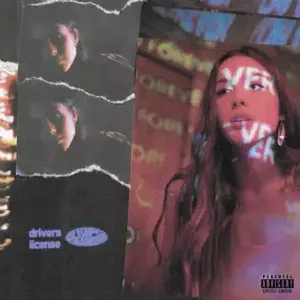 drivers license / burning down the house (Single)