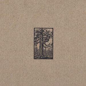 Sequoia