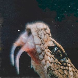 Serpentine (Single)