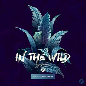 In the Wild (Single)
