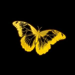 SHINE (golden hour sample) (Single)