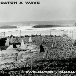 Catch a Wave (Single)