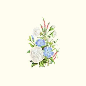 Etude of clair