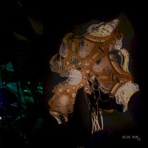 Bloq Num 12 (Single)