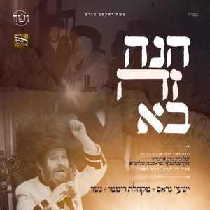 קול דודי (Single)