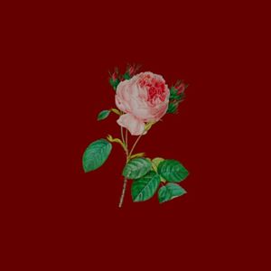 prayer (Single)