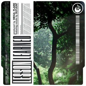Lesson Learned (Single)