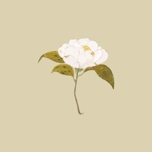Ghost (Single)