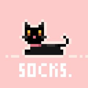 i'm your cat (Single)