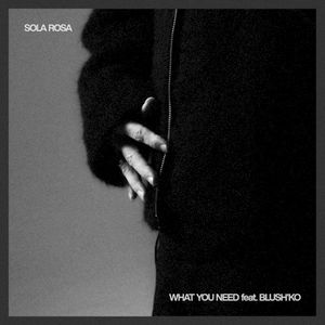 What You Need (Single)