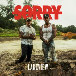 Sorry (Single)