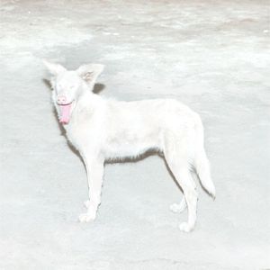 Aren’t You Tired (EP)